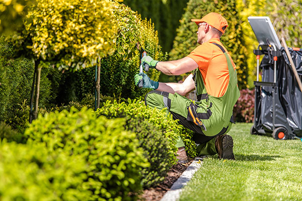 Landscape contractors top