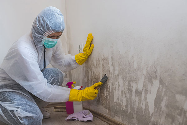 Mold Remediation Contractor Insurance - Business Insurance Center